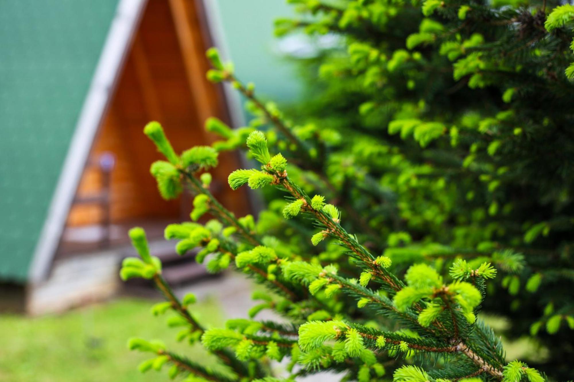 Rooms & Glamping Lana Haus Licko Petrovo Selo Exteriör bild